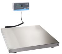 Commercial Platform Scale AW 300P