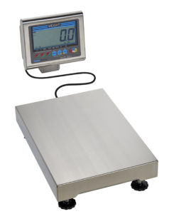 Platform Scale DP 6700