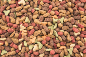 Dog Food