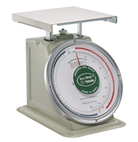 BC Mechanical Scale