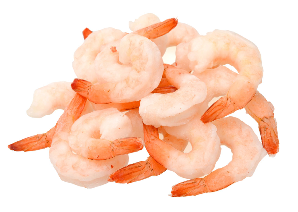 Shrimp