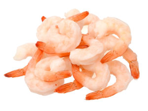 Shrimp